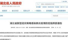 湖北爆料最新消息新闻,聚焦突发新闻事件