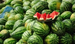 蚌埠吃瓜最新事件爆料新闻,揭秘背后惊人真相